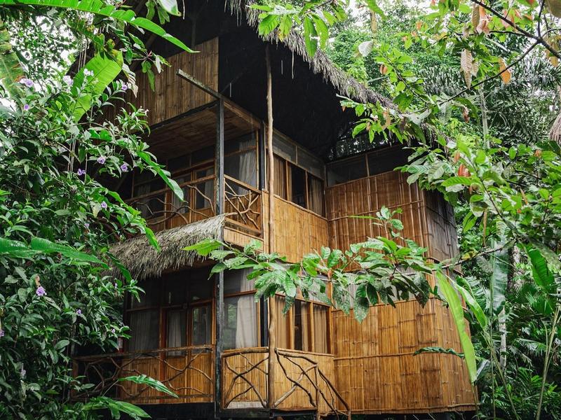 Foto de referencia: cabaña de caña guadua rodeada de selva.