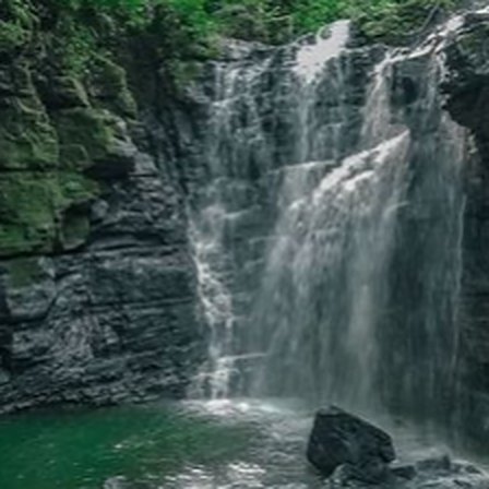Foto de referencia: cascada que cae sobre roca cubierta de vegetación.