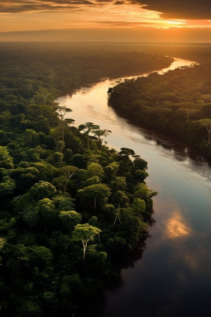 Foto de referencia: vista aérea de un río amazónico que atraviesa la selva al atardecer.